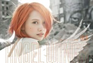 杨丞琳2013年专辑《天使之翼》[无损flac]网盘下载