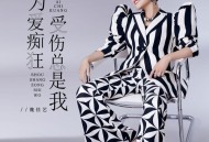 魏佳艺《为爱痴狂受伤总是我》[FLAC/MP3-320K]网盘下载