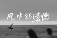 向思思《风中的遗憾 (女版)》[FLAC/MP3-320K]网盘下载