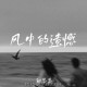 向思思《风中的遗憾 (女版)》[FLAC/MP3-320K]网盘下载