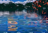 满舒克、CashTrippy《风花雪月》[FLAC/MP3-320K]网盘下载