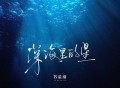 苏星婕《深海里的星》[FLAC/MP3-320K]网盘下载