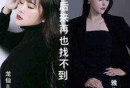 雅儿、龙仙儿《后来再也找不到》[无损flac|320K高品质MP3]网盘下载