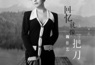 魏佳艺《回忆就像一把刀》[无损flac]网盘下载