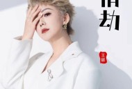 王娜《情劫》[FLAC/MP3-320K]网盘下载