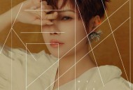 魏佳艺《情网》[FLAC/MP3-320K]网盘下载