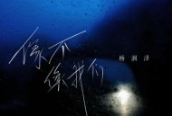 杨润泽《像不像我们》[FLAC/MP3-320K]网盘下载