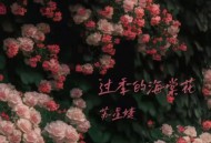 苏星婕《过季的海棠花》[FLAC/MP3-320K]网盘下载