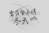 张妙格、张大奇《雪花舍不得冬天》[无损flac|320K高品质MP3]网盘下载