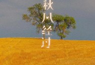杨雯梓《秋风经过》[FLAC/MP3-320K]网盘下载