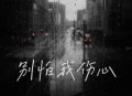 柯柯柯啊《别怕我伤心(校园版)》[无损flac]网盘下载