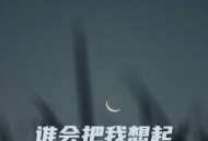 大美《谁会把我想起》[FLAC/MP3-320K]网盘下载