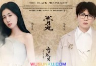 张碧晨&毛不易《黑月光》[无损flac]网盘下载