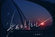 庄淇玟29《是我还在惦记》[FLAC/MP3-320K]网盘下载