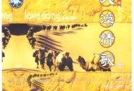 刀郎2001年专辑《大漠情歌》[无损FLAC|320K高品质MP3]网盘下载