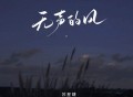 苏星婕《无声的风》[FLAC/MP3-320K]网盘下载