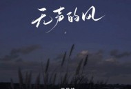 苏星婕《无声的风》[FLAC/MP3-320K]网盘下载