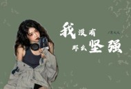 黄文文《我没有那么坚强》[无损flac|320K高品质MP3]网盘下载