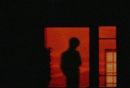 贺峻霖《缘故》[无损flac]网盘下载