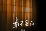 苏星婕《最不舍的》[无损flac|320K高品质MP3]网盘下载