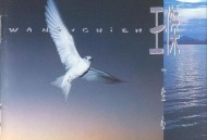 王杰1991年专辑《一生心碎》[无损flac]网盘下载