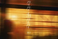 香子《情茫茫海茫茫(DJ版)》[无损flac|320K高品质MP3]网盘下载