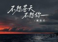 魏佳艺《不怨苍天不怨你》[FLAC/MP3-320K]网盘下载