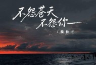 魏佳艺《不怨苍天不怨你》[FLAC/MP3-320K]网盘下载