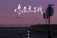 苏星婕《你会忘了我》[无损flac|320K高品质MP3]网盘下载