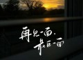 苏星婕《再见一面，最后一面》[无损flac|320K高品质MP3]网盘下载