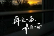 苏星婕《再见一面，最后一面》[无损flac|320K高品质MP3]网盘下载