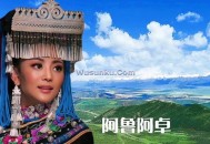 阿鲁阿卓《心上的罗加》[无损flac]网盘下载