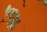 曾沛慈《孙尚香》[无损FLAC|320K高品质MP3]网盘下载