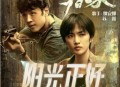 姚安娜&苏鑫《阳光正好》[无损flac]网盘下载