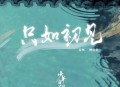 姚晓棠《只如初见》[无损flac|320K高品质MP3]网盘下载