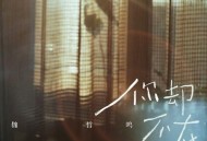魏哲鸣《你却不在》[无损flac|320K高品质MP3]网盘下载