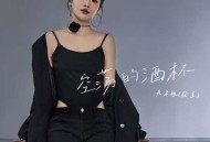 无名姐（路宝）《空荡的酒杯》[FLAC/MP3-320K]网盘下载