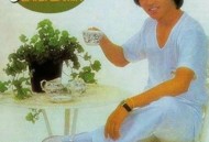 张国荣1978年专辑《DayDreamin'》[无损flac]网盘下载