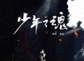 张远《少年之魂》[无损flac|320K高品质MP3]网盘下载