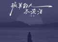 田园《孤单的人不流泪》[FLAC/MP3-320K]网盘下载