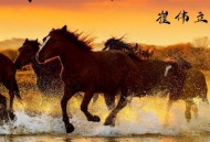 崔伟立《策马闯天涯（男版）》[FLAC/MP3-320K]网盘下载