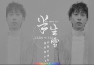 七叔（叶泽浩）《半生雪》[无损flac]网盘下载