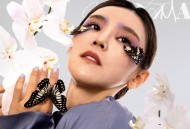 李佳薇《蝴蝶夫人》[无损flac|320K高品质MP3]网盘下载