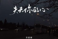 苏星婕《失去你的心》[无损flac|320K高品质MP3]网盘下载