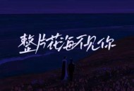 别问是海波&赵芷彤Cassie《整片花海不见你》[无损flac]网盘下载