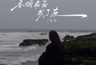 田园《香烟最后成了灰》[FLAC/MP3-320K]网盘下载