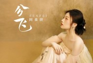 阿美呀《分飞》[FLAC/MP3-320K]网盘下载