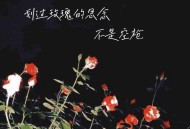 pro、徐靖雯《划过玫瑰的思念不是空枪》[FLAC/MP3-320K]网盘下载