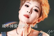 王娜《戒不掉爱情戒不掉你》[FLAC/MP3-320K]网盘下载