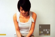 江美琪2004年专辑《又寂寞又美丽》[无损flac|320K高品质MP3]网盘下载